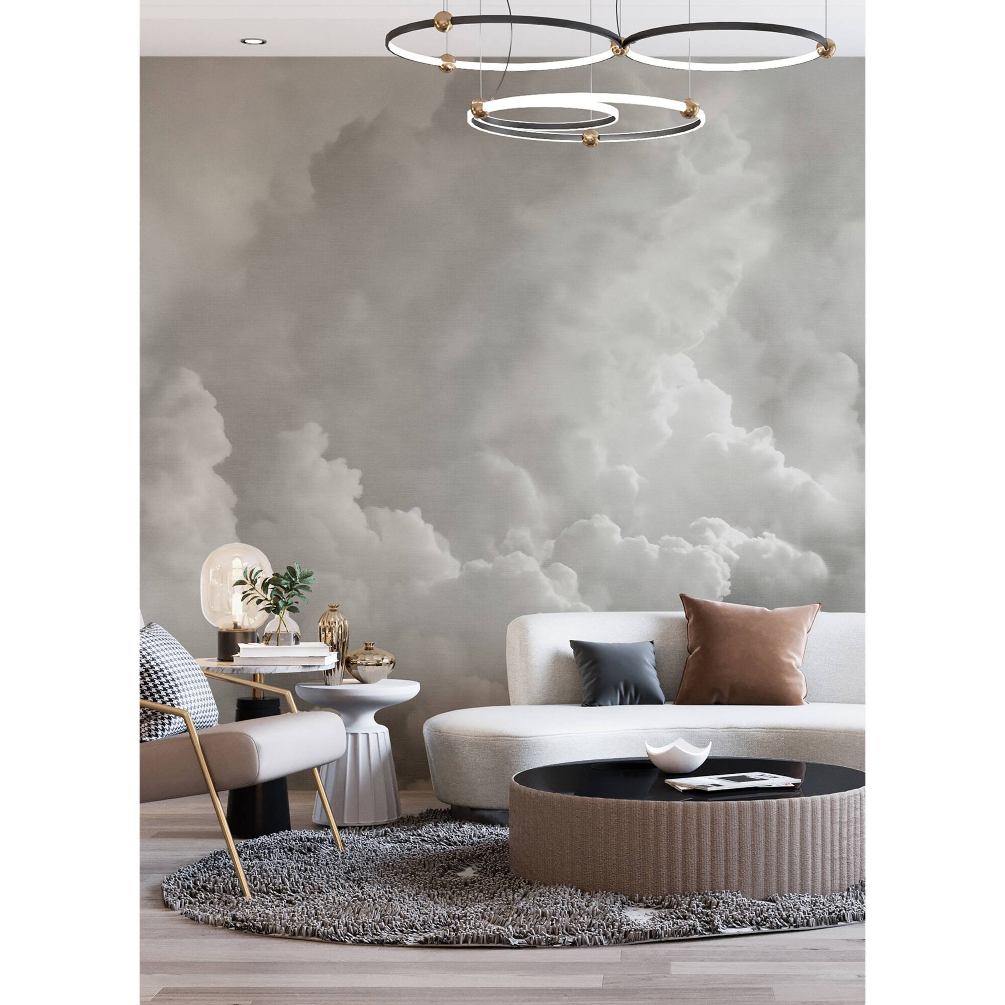 Katie Hunt Dove Gray In the Clouds Wall Mural